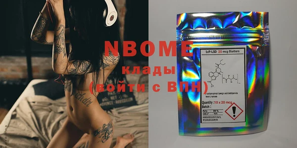 прущие грибы Алзамай
