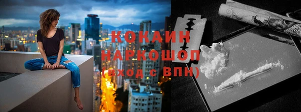 прущие грибы Алзамай