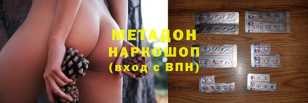 прущие грибы Алзамай