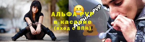 прущие грибы Алзамай