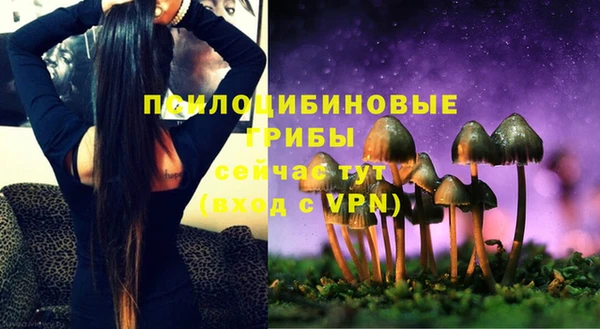 прущие грибы Алзамай