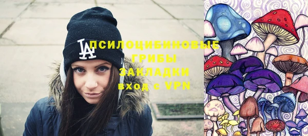 дмт Нязепетровск