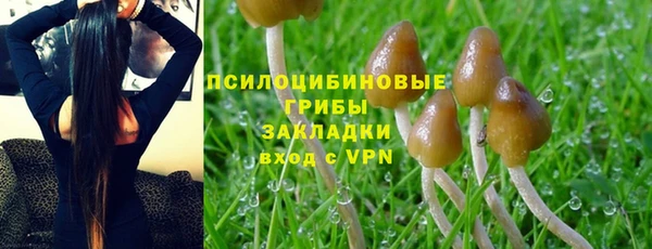 круглые Алексеевка