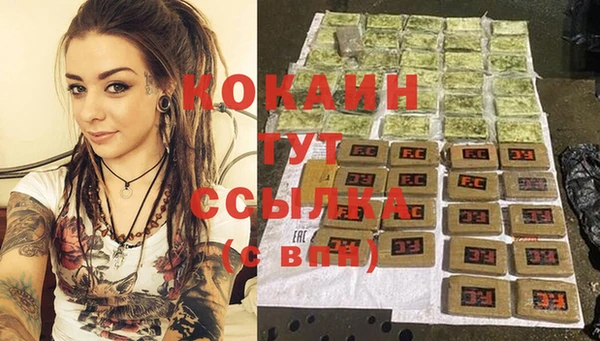 сатива Няндома