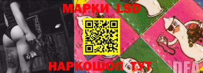 спиды Донской