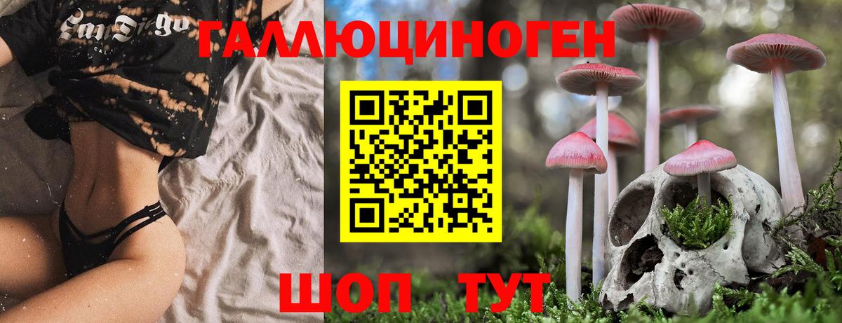 Псилоцибиновые грибы Psilocybine cubensis Похвистнево
