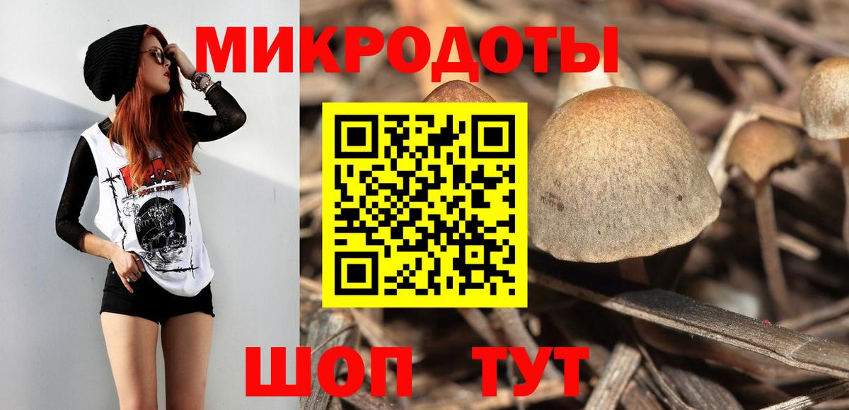 Похвистнево  Псилоцибиновые грибы ЛСД  Вход с VPN 